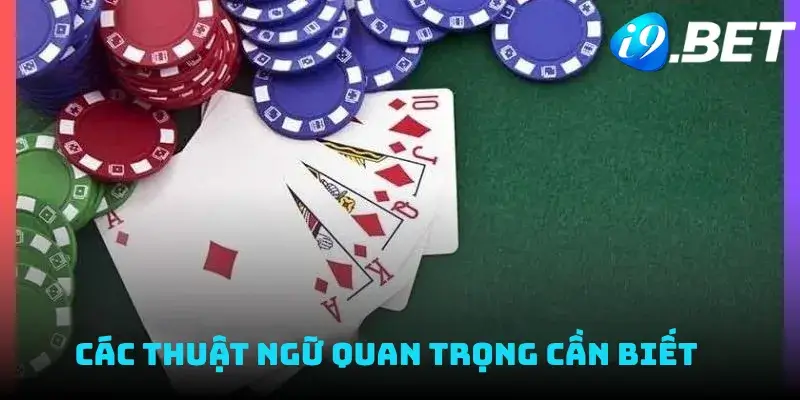 Các thuật ngữ quan trọng cần biết